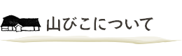 山びこについて