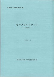 第11集キマダラルリツバメ(1990.3)_R