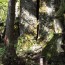 湯殿山、飯豊山_R