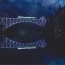 No79 穏やかな水面に残すキハ４０の軌跡