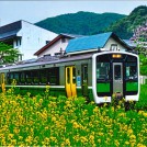 リサイズ_007_菜の花列車（後藤修）