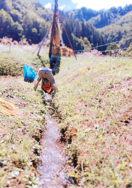 re_5_福島民友新聞社賞 『「さでがけ」おわったぞ～』（佐久間優子）