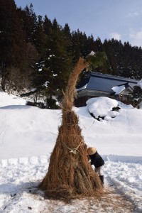 re_R8_大谷本村サイノカミ