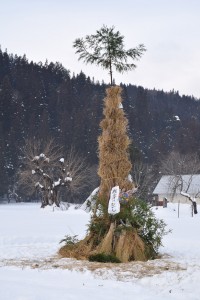 re_R8_西方13組サイノカミ001