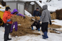 re_R8_滝谷サイノカミ